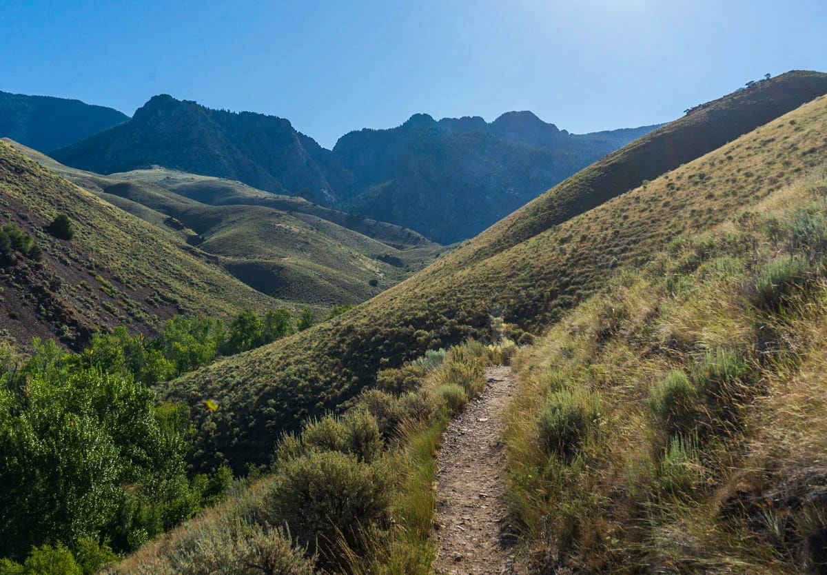 Rolling hills along the Goldbug Hot Springs in Idaho